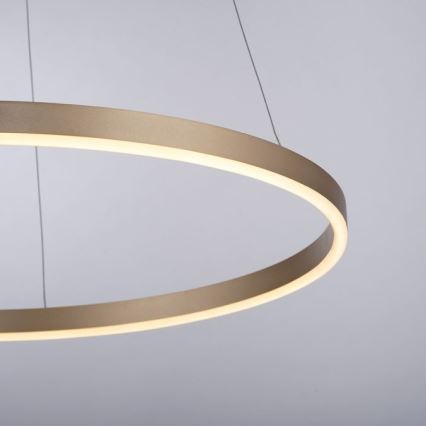 Leuchten Direkt 15394-60 - RITUS LED prigušiva viseća lampa na sajli, LED/30W/230V, mesing