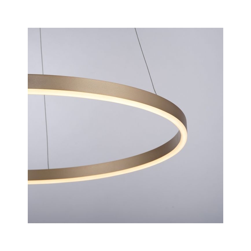 Leuchten Direkt 15394-60 - RITUS LED prigušiva viseća lampa na sajli, LED/30W/230V, mesing