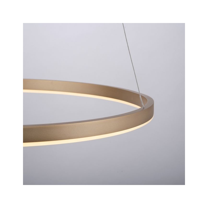 Leuchten Direkt 15394-60 - RITUS LED prigušiva viseća lampa na sajli, LED/30W/230V, mesing