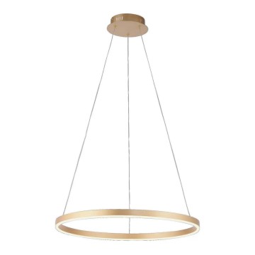 Leuchten Direkt 15394-60 - RITUS LED prigušiva viseća lampa na sajli, LED/30W/230V, mesing