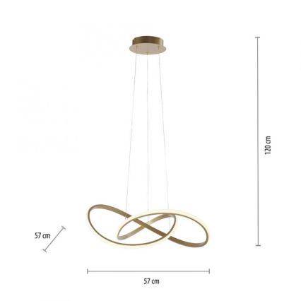 Leuchten Direkt 15402-60 - LED luster na sajli MARIA sa prigušiva LED/25W/230V