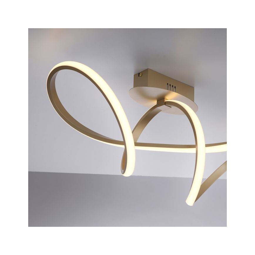 Leuchten Direkt 15403-60 - LED prigušiva plafonska lampa MARIA LED/15,5W/230V