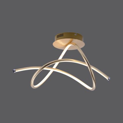 Leuchten Direkt 15441-12 - LED prislonjen stropni luster VIOLETTA LED/26W/230V