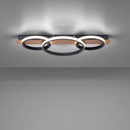 Leuchten Direkt 15616-78 - LED plafonsko svetlo TROOPER LED/37W/230V