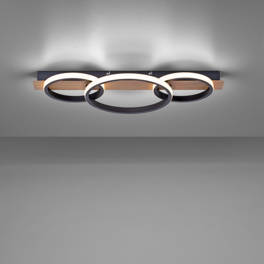 Leuchten Direkt 15616-78 - LED plafonsko svetlo TROOPER LED/37W/230V