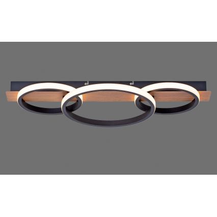 Leuchten Direkt 15616-78 - LED plafonsko svetlo TROOPER LED/37W/230V