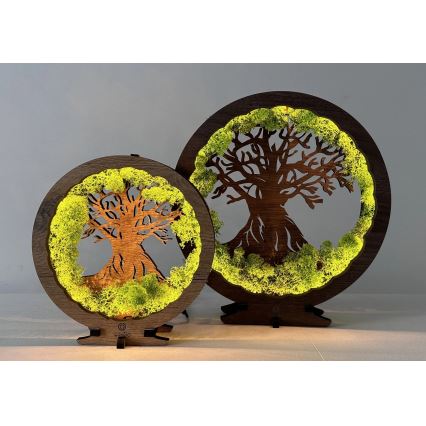 Li-Go 23604/DUB2 - LED prigušiva stolna dekoracija LED/12W/230V 20x22 cm hrast/mahovina i drvo