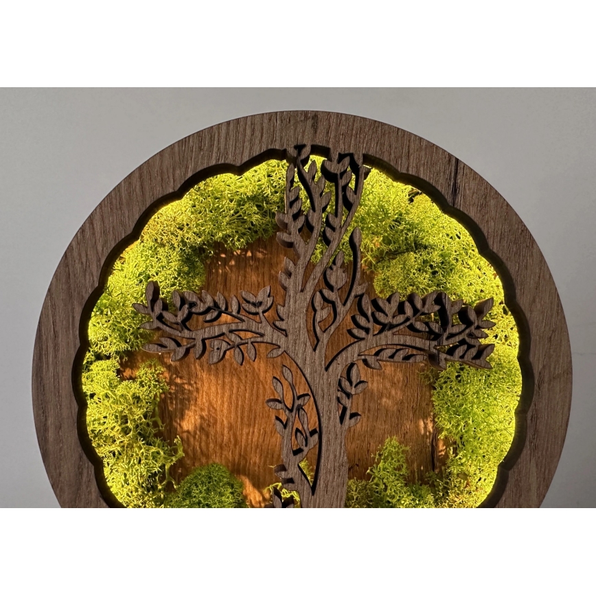 Li-Go 23622/DUB2 - prigušiva LED stona dekoracija LED/12W/230V 20x22 cm hrast/Krst u mahovini