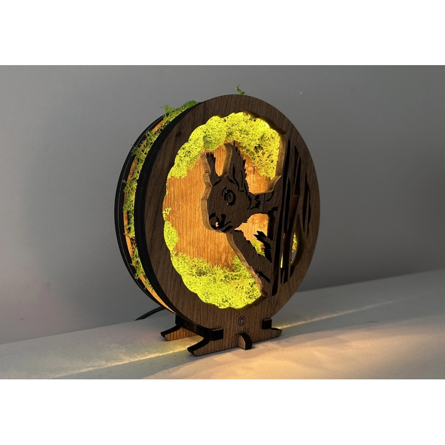 Li-Go 23625/DUB2 - LED prigušiva stona dekoracija LED/12W/230V 20x22 cm hrast/veverica od mahovine