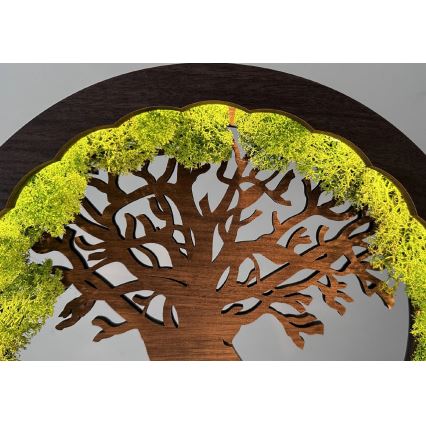 Li-Go 23631/DUB2 - LED prigušiva stona dekoracija LED/12W/230V 30x31 cm hrast/mahovina i drvo