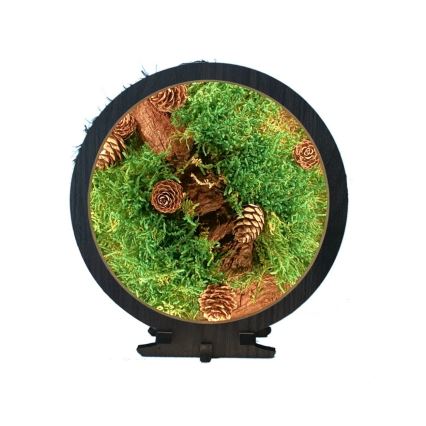 Li-Go 23654 - LED prigušiva stona dekoracija LED/12W/230V 20x22 cm orah/mahovito zatišje