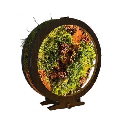 Li-Go 23654 - LED prigušiva stona dekoracija LED/12W/230V 20x22 cm orah/mahovito zatišje