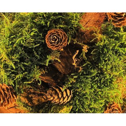 Li-Go 23654 - LED prigušiva stona dekoracija LED/12W/230V 20x22 cm orah/mahovito zatišje