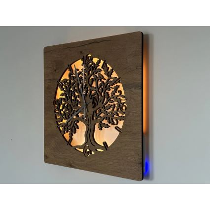 Li-Go 5652/DUB2 - LED prigušiva zidni sat LED/10W/5V 20000 mAh 42x42 cm hrast/Hrast u krugu + daljinski upravljač