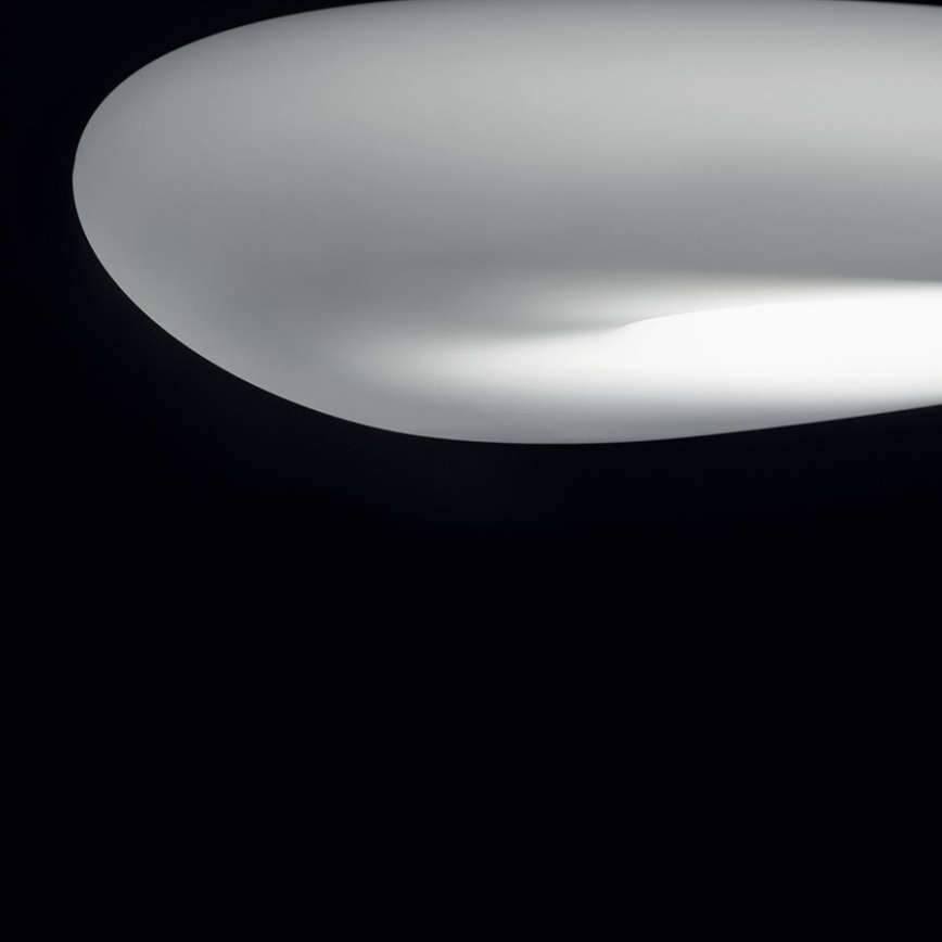Linea Light 8006 - LED prigušiva plafonska svetiljka MR. MAGOO LED/23W/230V prečnika 52 cm