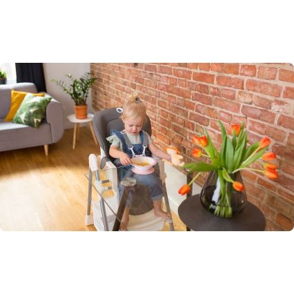 Lionelo - Dečja stolica za hranjenje LINN PLUS bela/siva