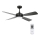 Lucci air 213303 - LED plafonski ventilator SLIPSTREAM, prigušiva, 1xGX53/12W/230V, crna, pr. 107 cm + daljinski upravljač