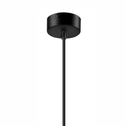 Luster na kablu DIEGO 1xE27/60W/230V