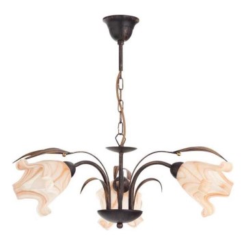 Luster na lancu DUCATTI 3xE14/10W/230V bronzana