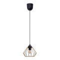 Luster na lanku CEED GOLD 1xE27/60W/230V Ø 17,5 cm crna/zlatna