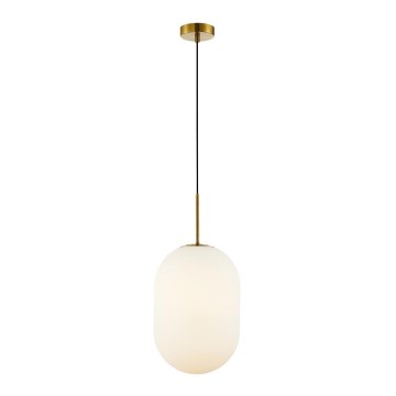 Luster na sajli ALIAS 1xE14/40W/230V prečnik 24 cm zlatna