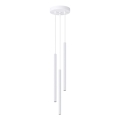 Luster na sajli ARCHE 3xG9/8W/230V bela