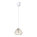 Luster na sajli CEED GOLD 1xE27/60W/230V, prečnik 17,5 cm, bela/zlatna