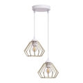 Luster na sajli CEED GOLD 2xE27/60W/230V, prečnik 28 cm, bela/zlatna
