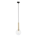 Luster na sajli DAISY 1xG9/12W/230V prečnik 14 cm zlatna/crna/prozirno staklo