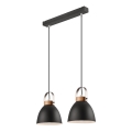 Luster na sajli DANIELLE 2xE27/60W/230V buk