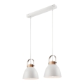 Luster na sajli DANIELLE 2xE27/60W/230V buk