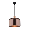 Luster na sajli DICTORIA 1xE27/40W/230V