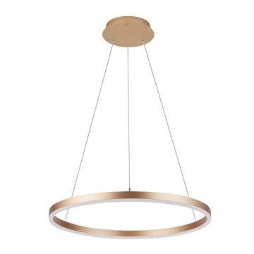 Luster na sajli DONA LED/32W/230V prečnik 40 cm