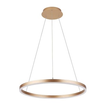 Luster na sajli DONA LED/42W/230V prečnik 60 cm