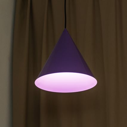 Luster na sajli ETNA II 1xE27/15W/230V, prečnik 25 cm, ljubičasta