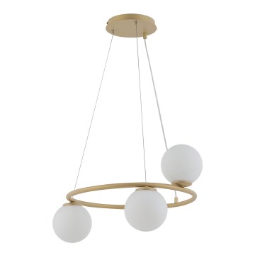 Luster na sajli GAMA 3xG9/12W/230V zlatni