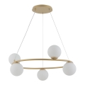 Luster na sajli GAMA 5xG9/12W/230V zlatni