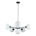Luster na sajli KALIOPE 6xE14/50W/230V crna/bela
