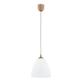 Luster na sajli LERA 1xE27/15W/230V zlatni