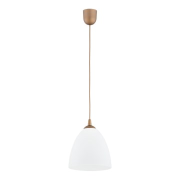 Luster na sajli LERA 1xE27/15W/230V zlatni