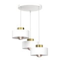 Luster na sajli MARTI 3xE27/15W/230V bela/zlatna