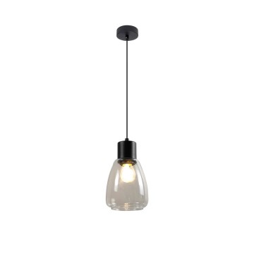 Luster na sajli MOLDO 1xE27/40W/230V crni/prozirni