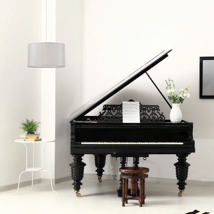 Luster na sajli MONTE 1xE27/60W/230V srebran