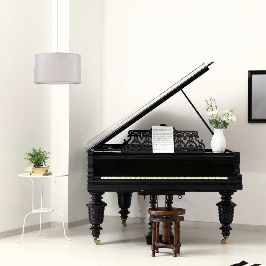 Luster na sajli MONTE 1xE27/60W/230V srebran