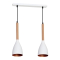 Luster na sajli MUZA 2xE27/60W/230V buk