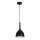 Luster na sajli NOAK WOOD 1xE27/60W/230V bukva