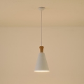 Luster na sajli SIMPLO 1xE27/15W/230V, beo, prečnik 20 cm