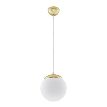 Luster na sajli TOYA 1xE27/60W/230V prečnik 20 cm bela/zlatna