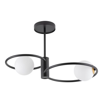 Luster na šipci AQUA 2xG9/12W/230V crna