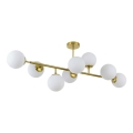 Luster na šipci DORADO 8xE14/40W/230V zlatni